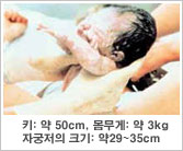 태아의 특징 - 키 : 약 50cm, 몸무게 : 약 3kg, 자궁의 크기 : 약 29~35cm